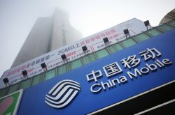 (7分钟科普下)绥化市工厂咨询电话号码_哔哩哔哩-3